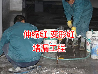 武漢伸縮縫堵漏