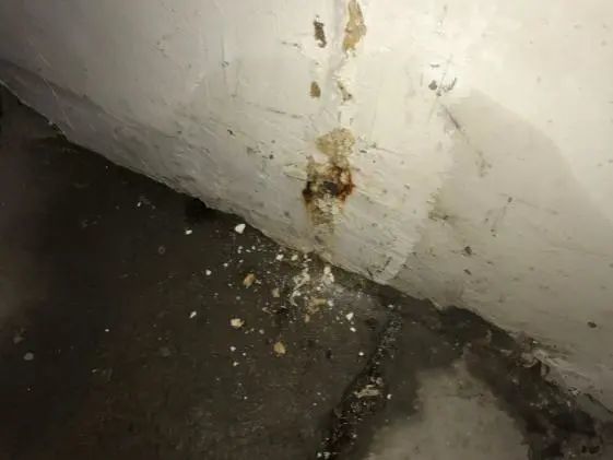 武漢地下室防水防潮施工方法