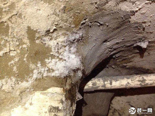 堵漏王是什么？堵漏王的正確使用方法及價(jià)格介紹
