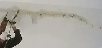 堵漏比防水更難，需要豐富的經(jīng)驗(yàn)積累