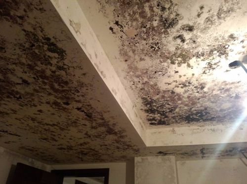 地下室發(fā)霉潮濕做防潮使用哪種防潮材料？
