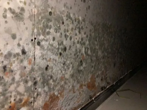 武漢地下室滲水潮濕，找神盾防水堵漏公司！