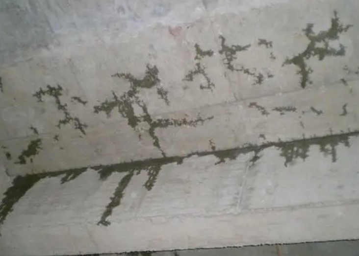 建筑堵漏中有哪些新技術(shù)？